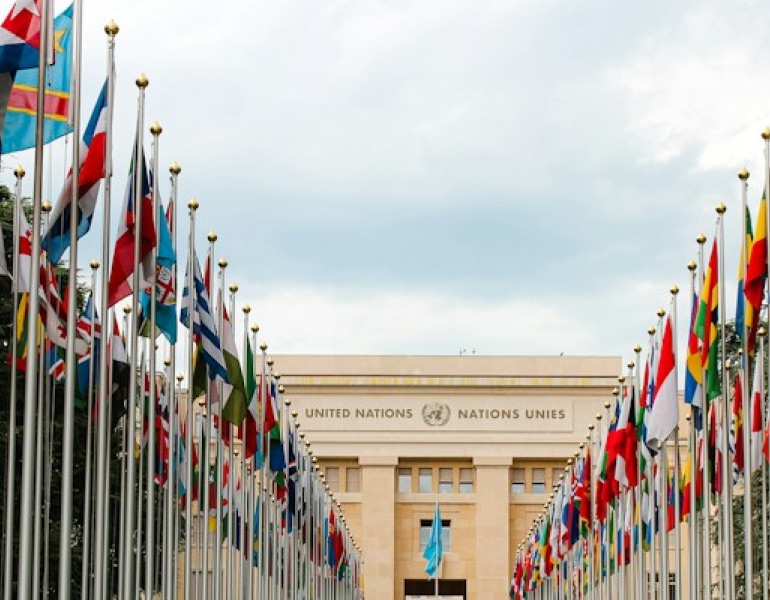 Rows of national flags lining the approach to the United Nations in Geneva
