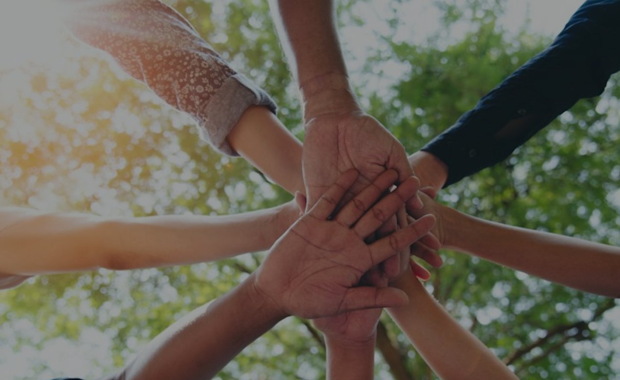 Hands joined together in solidarity